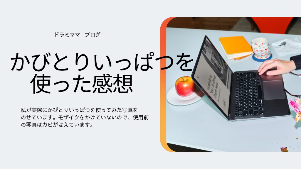 かびとりいっぱつ