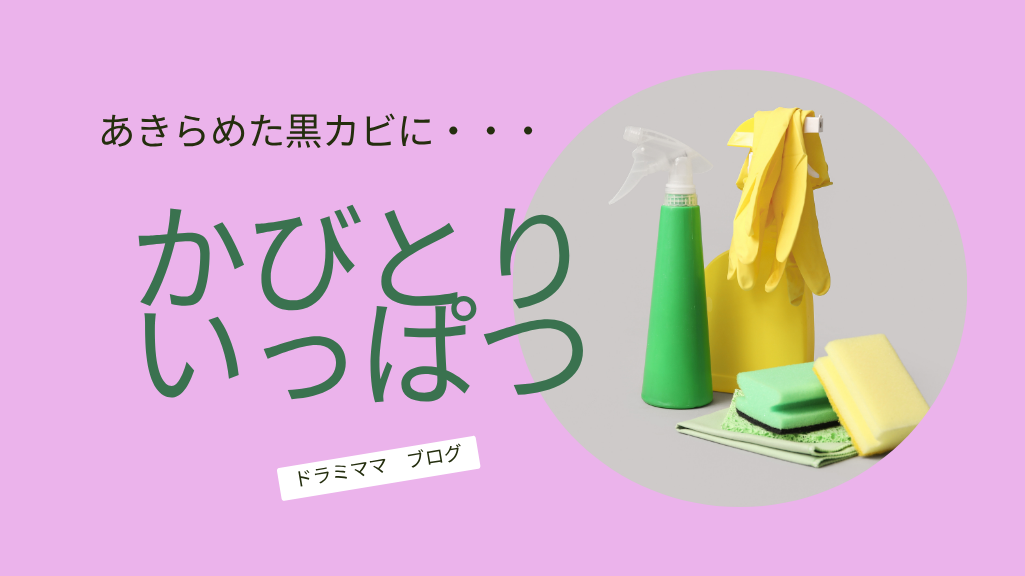 かびとりいっぱつ