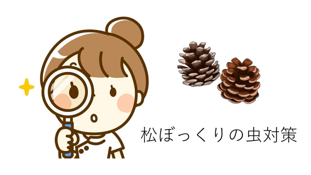 まつぼっくり