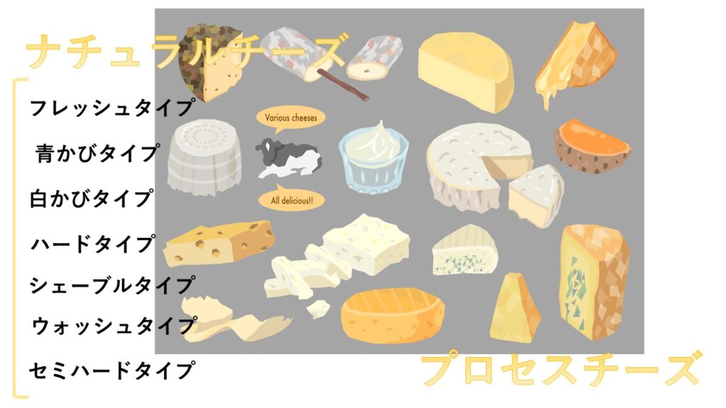 チーズの種類